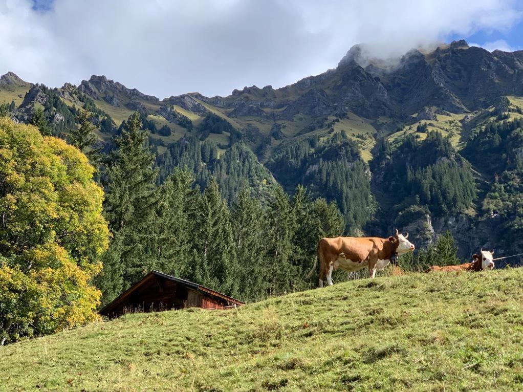 Chalet Schiltwald Innerwengen Dış mekan fotoğraf