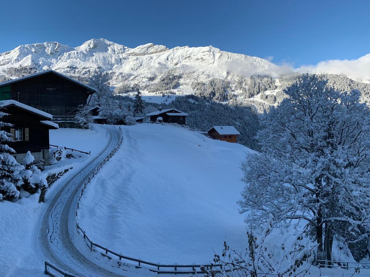 Chalet Schiltwald Innerwengen Dış mekan fotoğraf