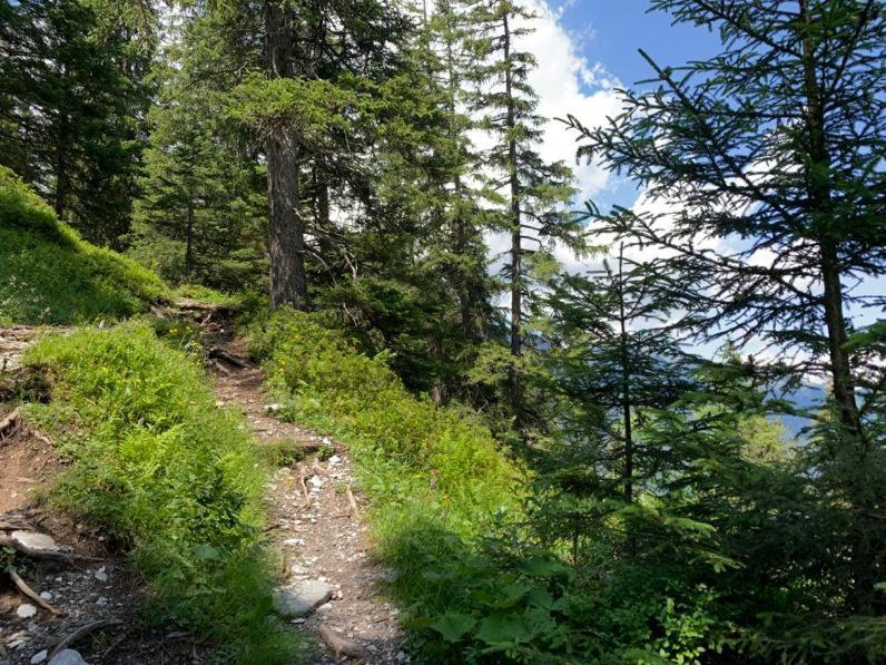 Chalet Schiltwald Innerwengen Dış mekan fotoğraf