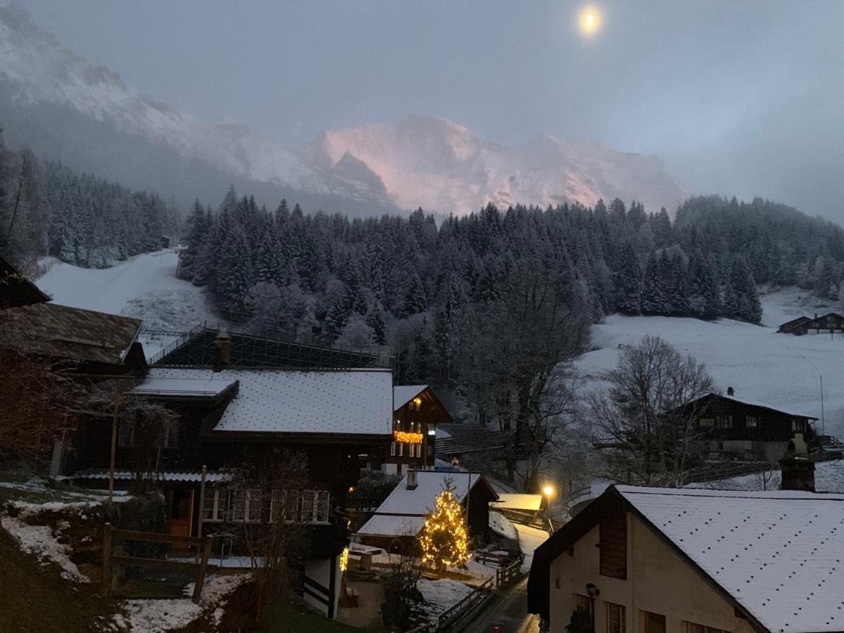 Chalet Schiltwald Innerwengen Dış mekan fotoğraf