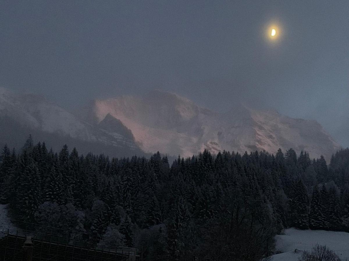 Chalet Schiltwald Innerwengen Dış mekan fotoğraf