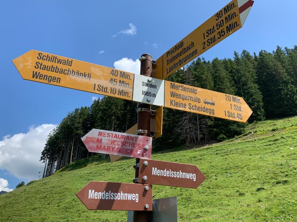Chalet Schiltwald Innerwengen Dış mekan fotoğraf