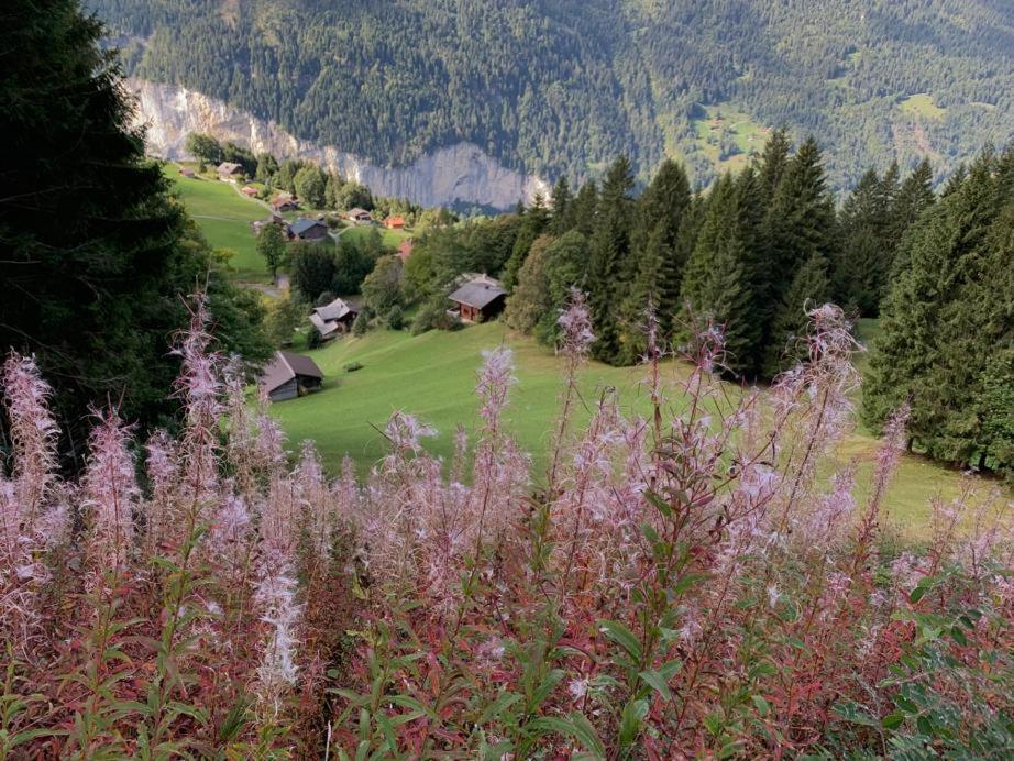 Chalet Schiltwald Innerwengen Dış mekan fotoğraf