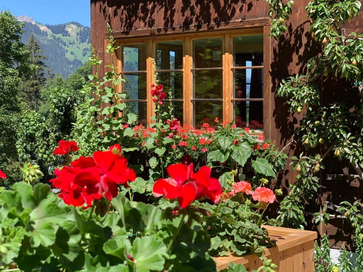 Chalet Schiltwald Innerwengen Dış mekan fotoğraf