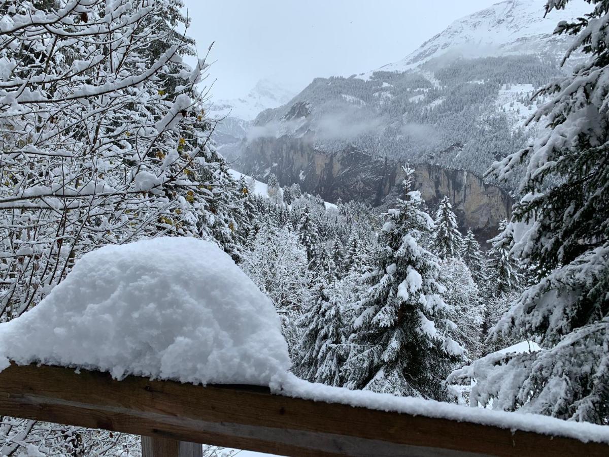 Chalet Schiltwald Innerwengen Dış mekan fotoğraf