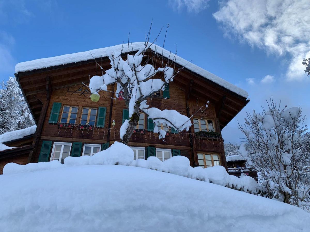 Chalet Schiltwald Innerwengen Dış mekan fotoğraf