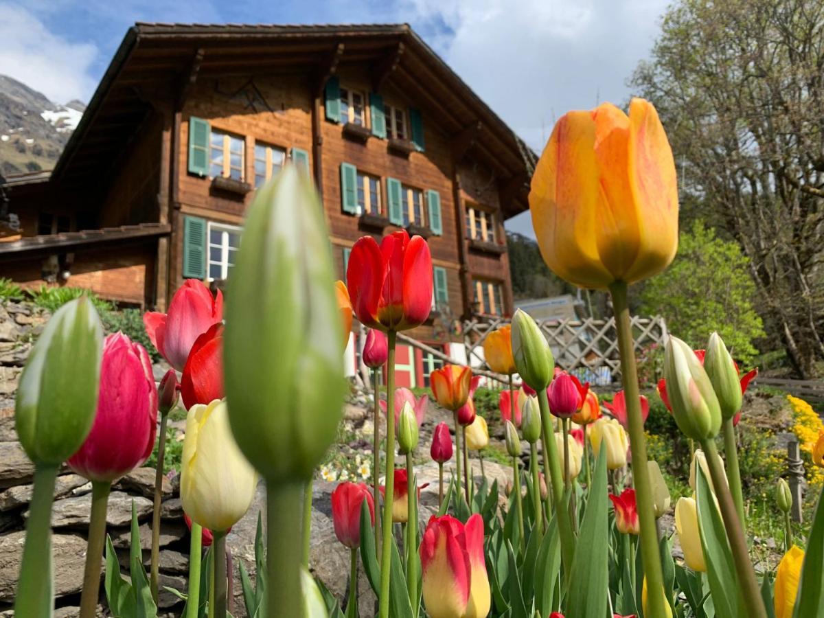 Chalet Schiltwald Innerwengen Dış mekan fotoğraf